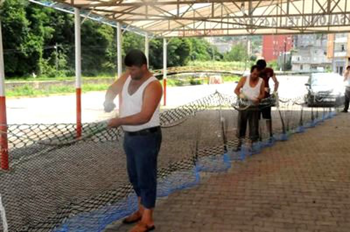 Geçen Yıl Denizden 477 Bin Ton Balık Yedik