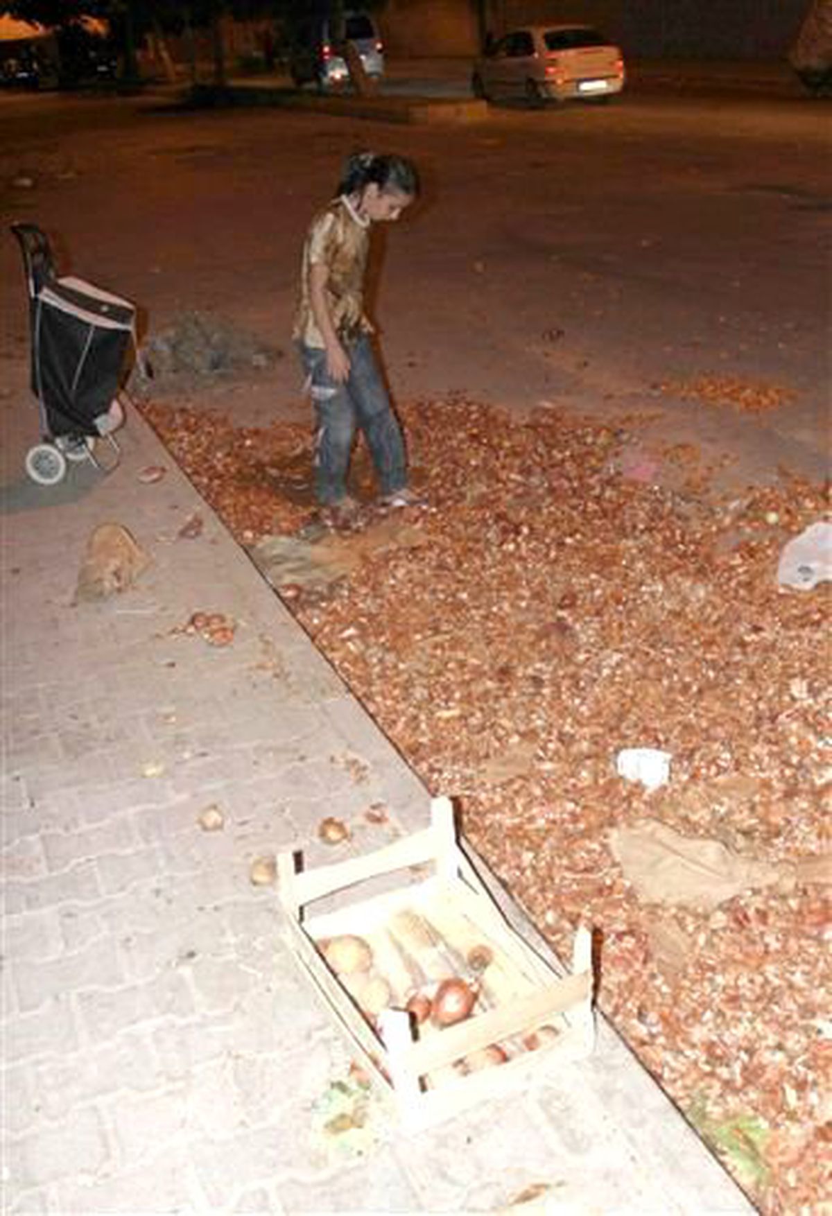 Küçük Senem Pazarcıların Döktüğü Yiyecekleri Topluyor