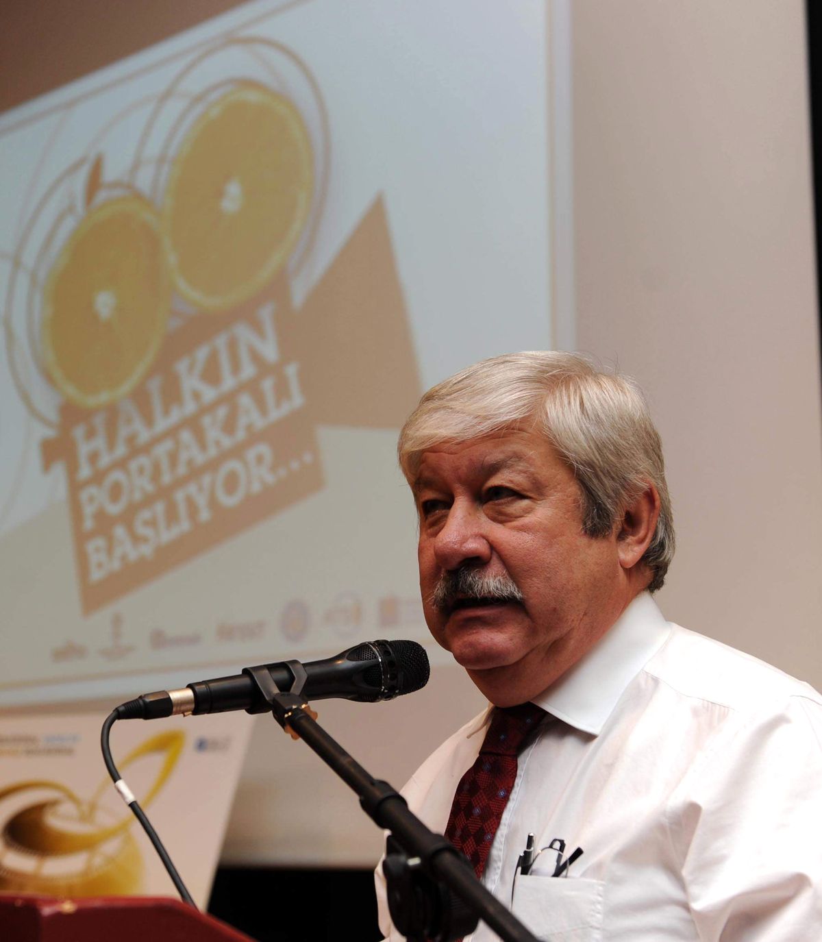 Akaydın, Altın Koza\'nın Tarihine Eleştirdi