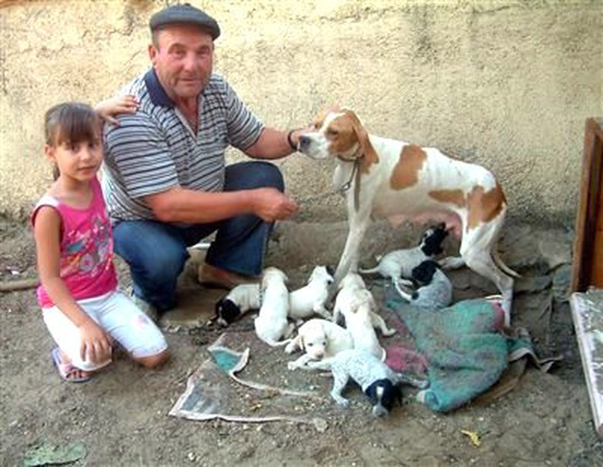 Burhaniye'de Şila Dokuz Doğurdu