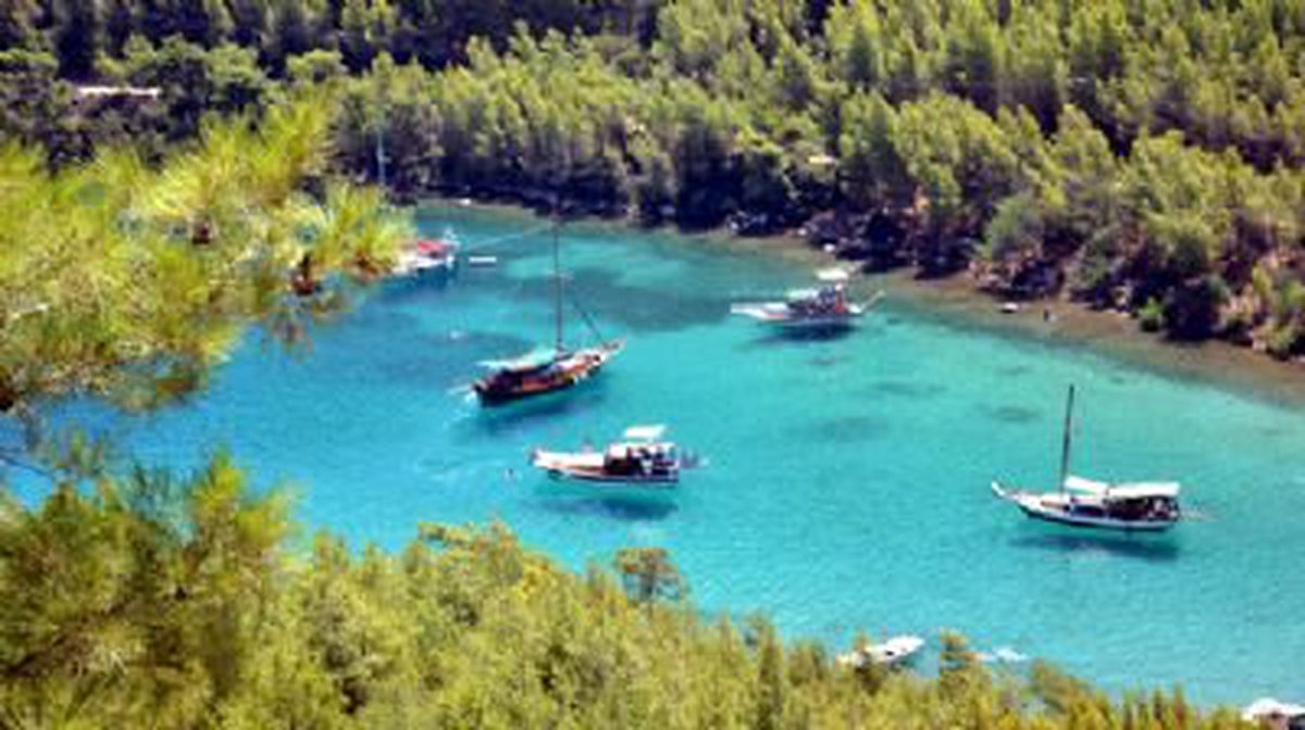 Cennet Koy\'da Çevre Eylemi