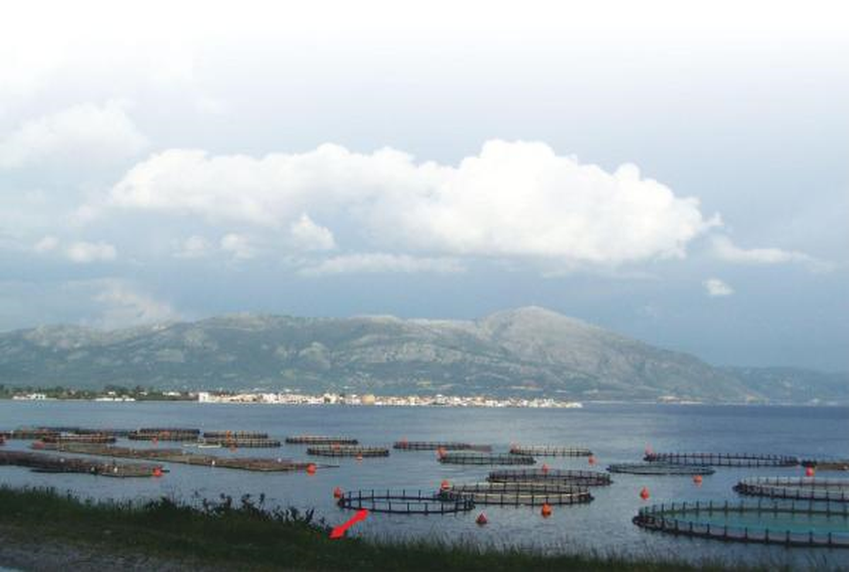 İşadamı Selçuk Yaşar\'dan Hükümete, \'Kültür Balıkçılığına Destek\' Çağrısı
