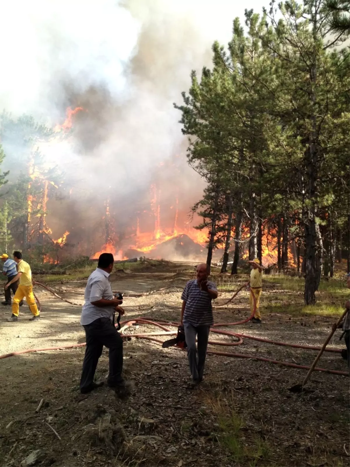 Kütahya'da Orman Yangını