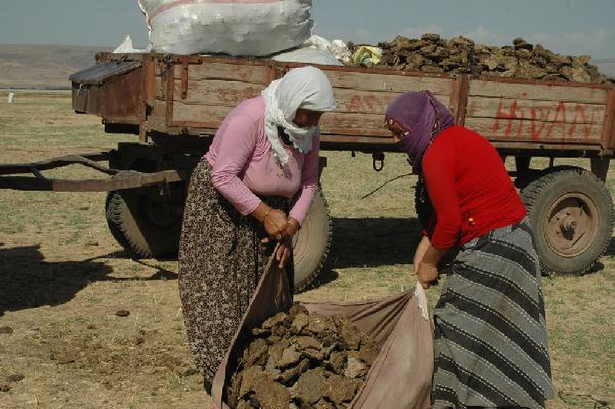 Muş\'ta Köylüler Kış İçin Tezek Topluyor