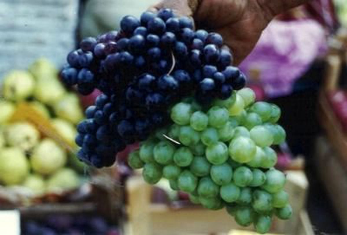 Muş Üzümü Piyasaya Çıktı