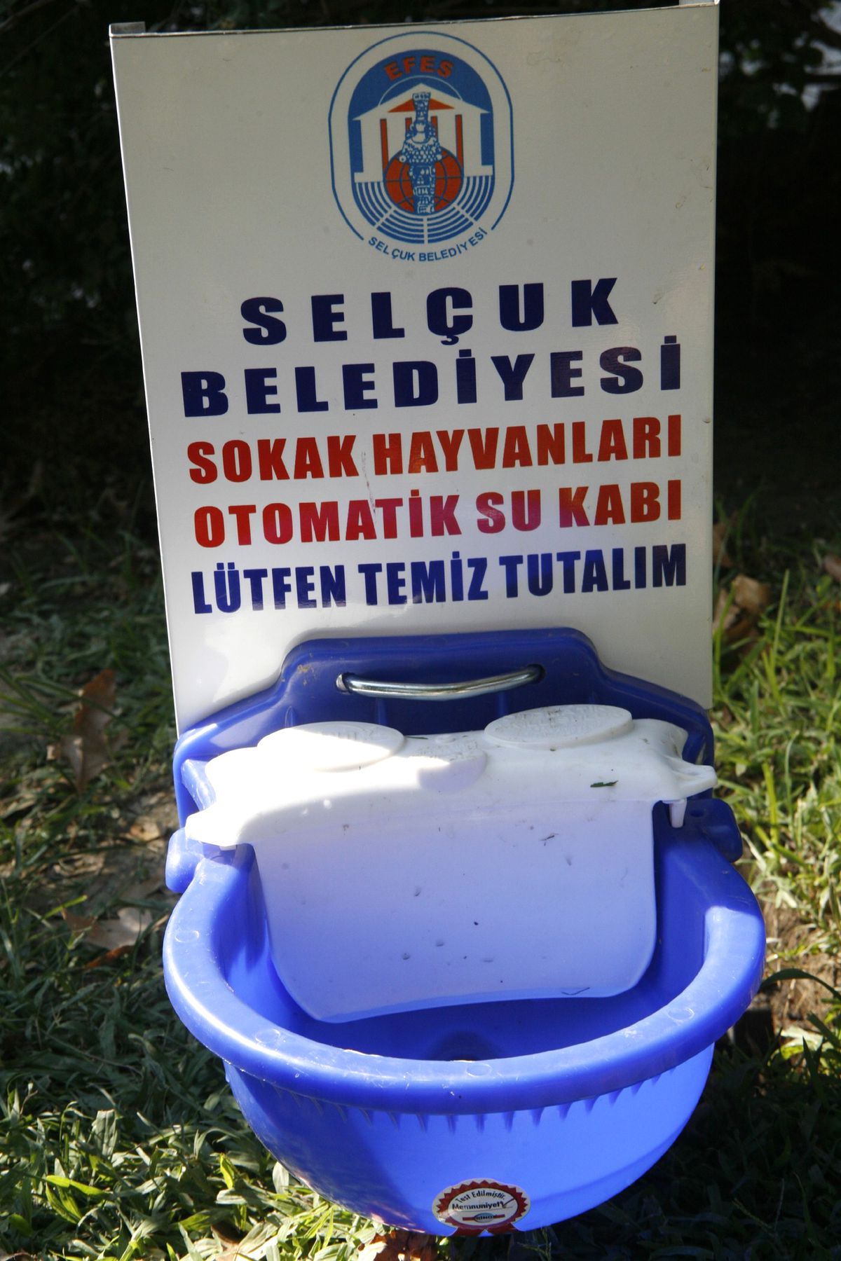 Sokak Hayvanları İçin Su Kabı