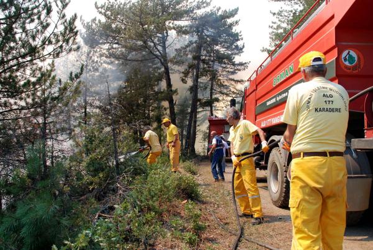 Taşköprü\'de 100 Hektarlık Alandaki Sarı Çamlar Yandı