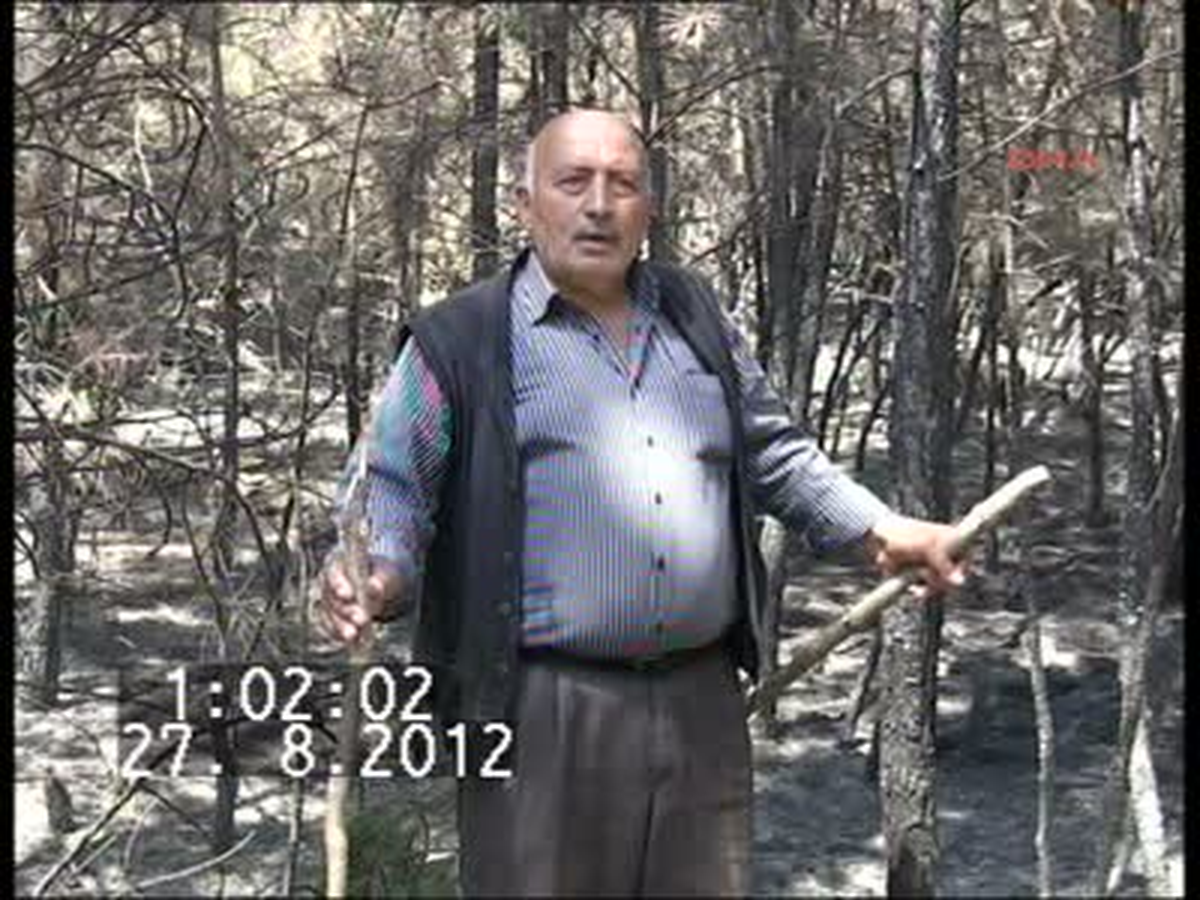 Taşköprüde 100 Hektarlık Alandaki Sarı Çamlar Yandı