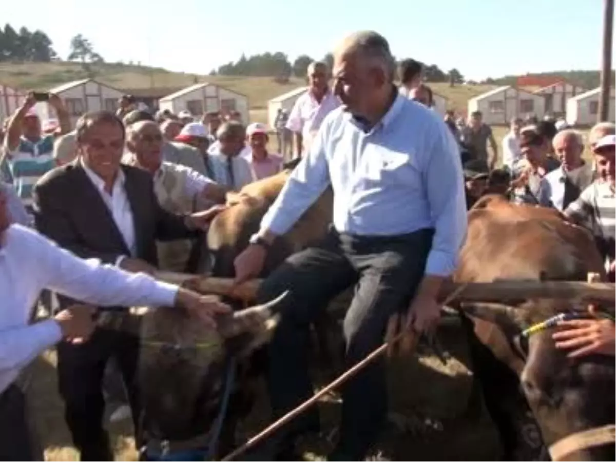 Yılmaz Özdil\'e Sert Yanıt