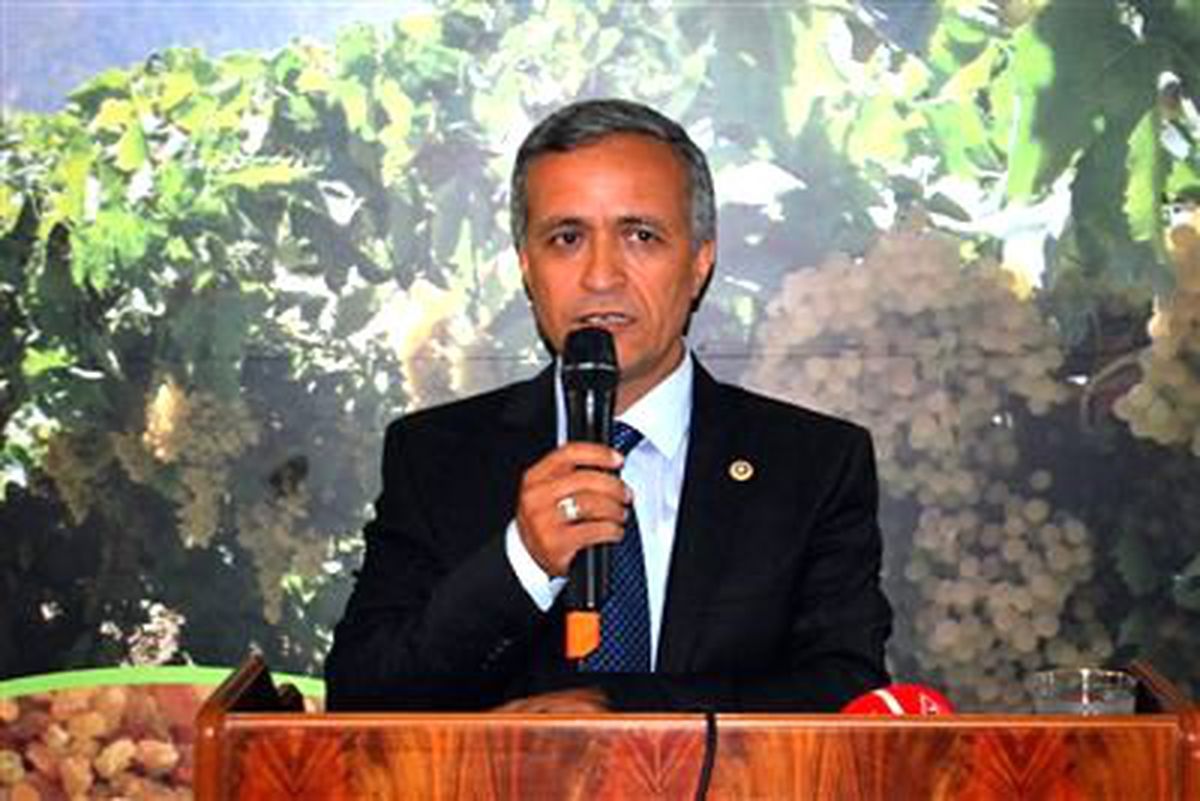 AK Parti\'li Yurttaş\'tan \'Üzüm Tanıtım Grubu\' Önerisi