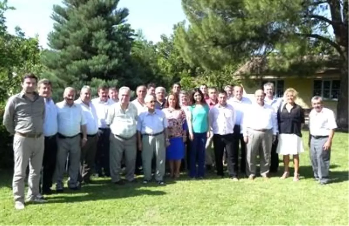 Bademli\'de Fidancılığın Sorunlarına Bilimsel Bakış