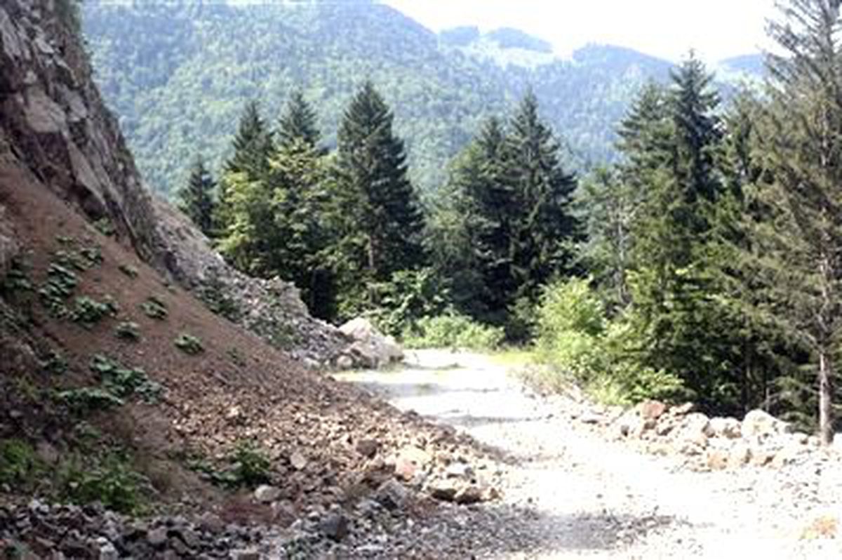 Çakırgöl Turizm Merkezi Yolu İçin Binlerce Ağaç Kesildiği İddiaları