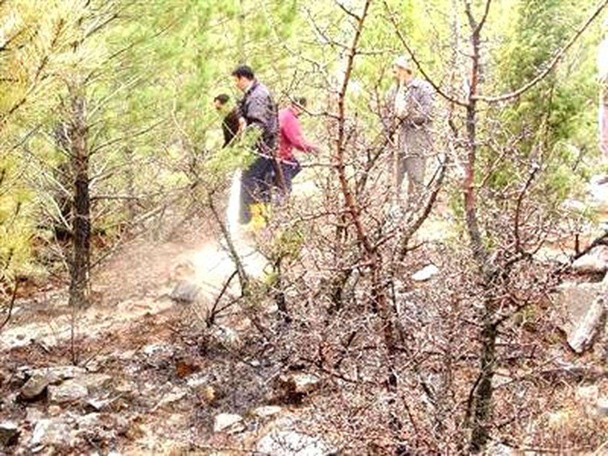 Kahramanmaraş\'taki Orman Yangını