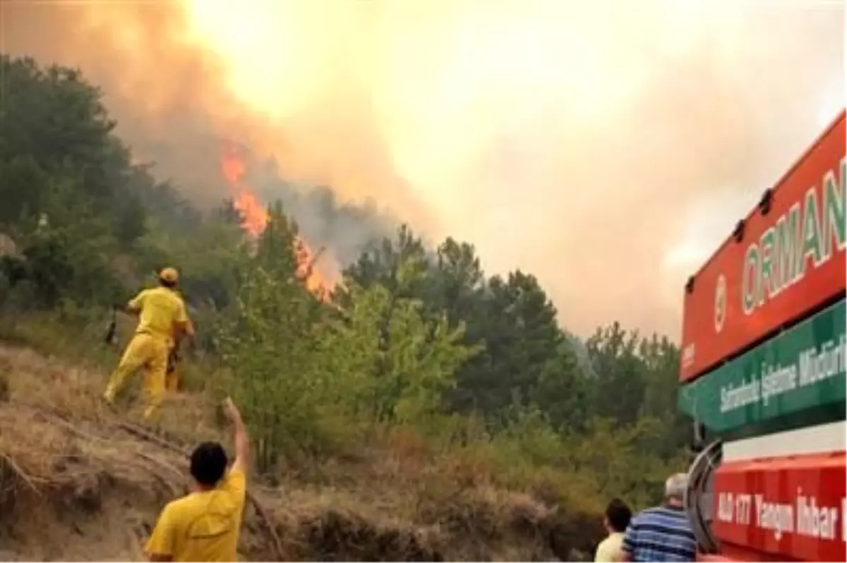 Karabük'te Orman Yangını