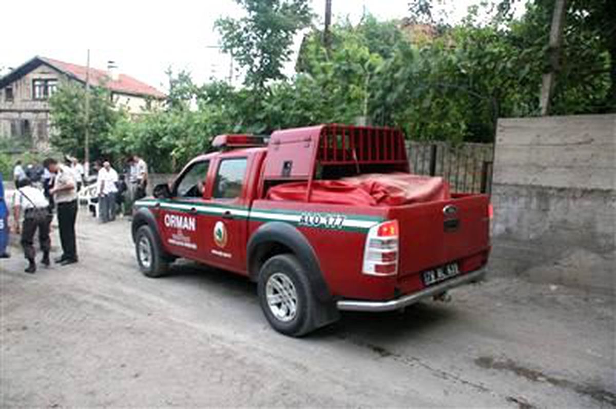 Karabük\'teki Orman Yangını
