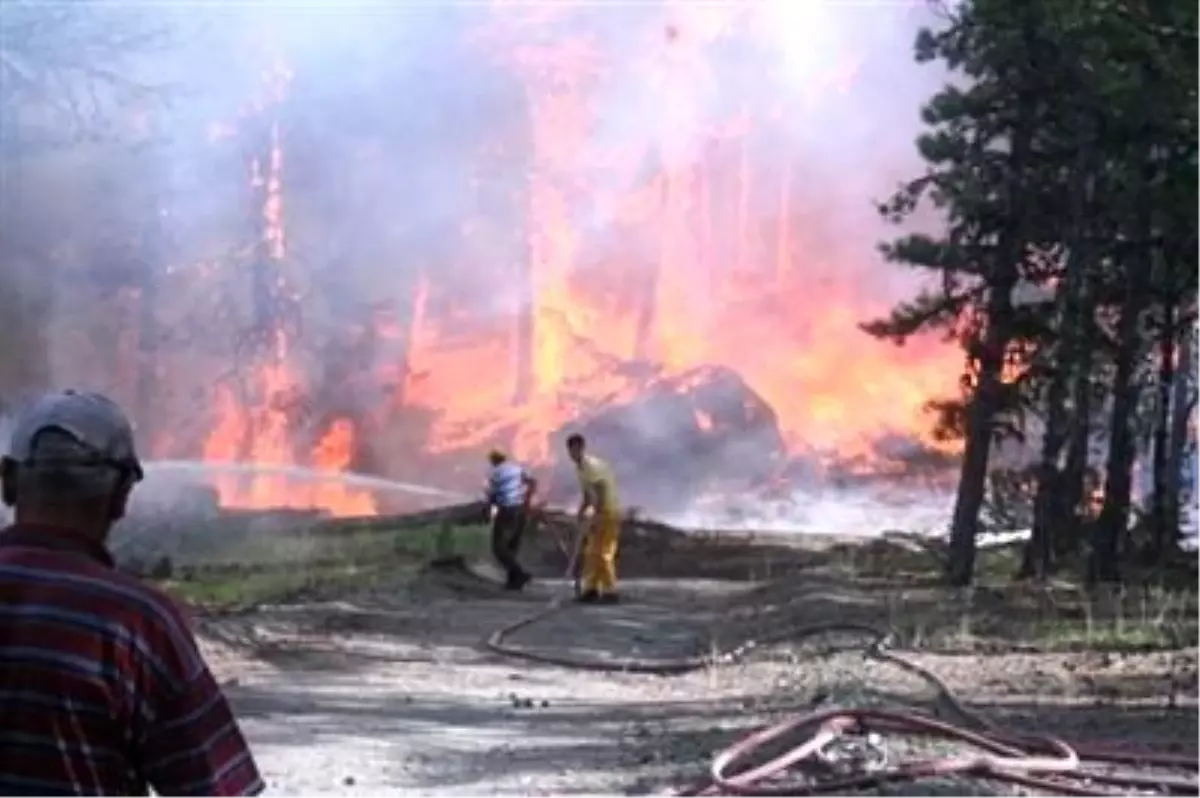 Kütahya\'daki Orman Yangını