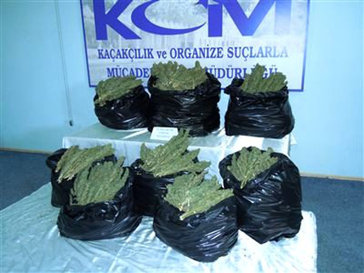 Şanlıurfa\'da Kaçakçılık Operasyonu