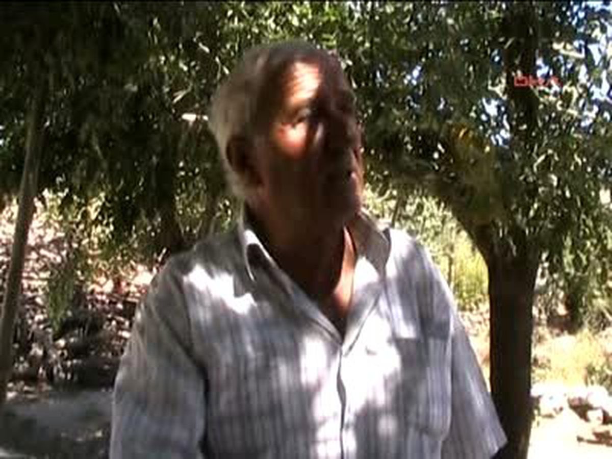 Seydişehir ) Maganda Kurşunuyla Başından Vuruldu