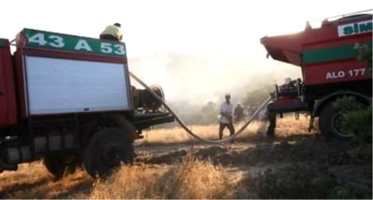 Simav\'da Orman Yangını