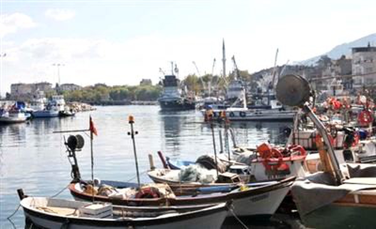 24 Metre Yasağı Kocaelili Balıkçıları Çileden Çıkardı; "Bütün Göç Balıklarını Yunanistan Avlayacak