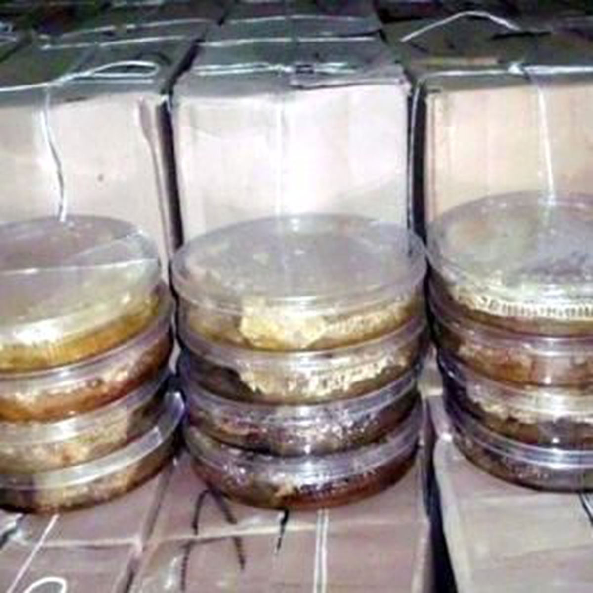 94 Kilo Kaçak Bal Ele Geçirildi