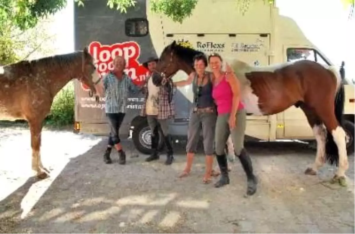 At Sırtında 3 Bin Kilometre Yol Katettiler