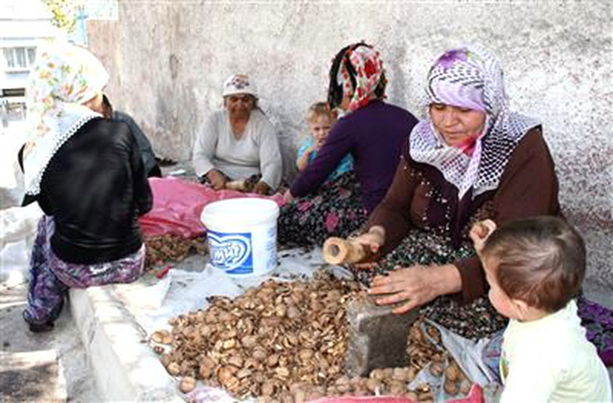 Bir Çuval Fıstık Bir Ekmek Parasına
