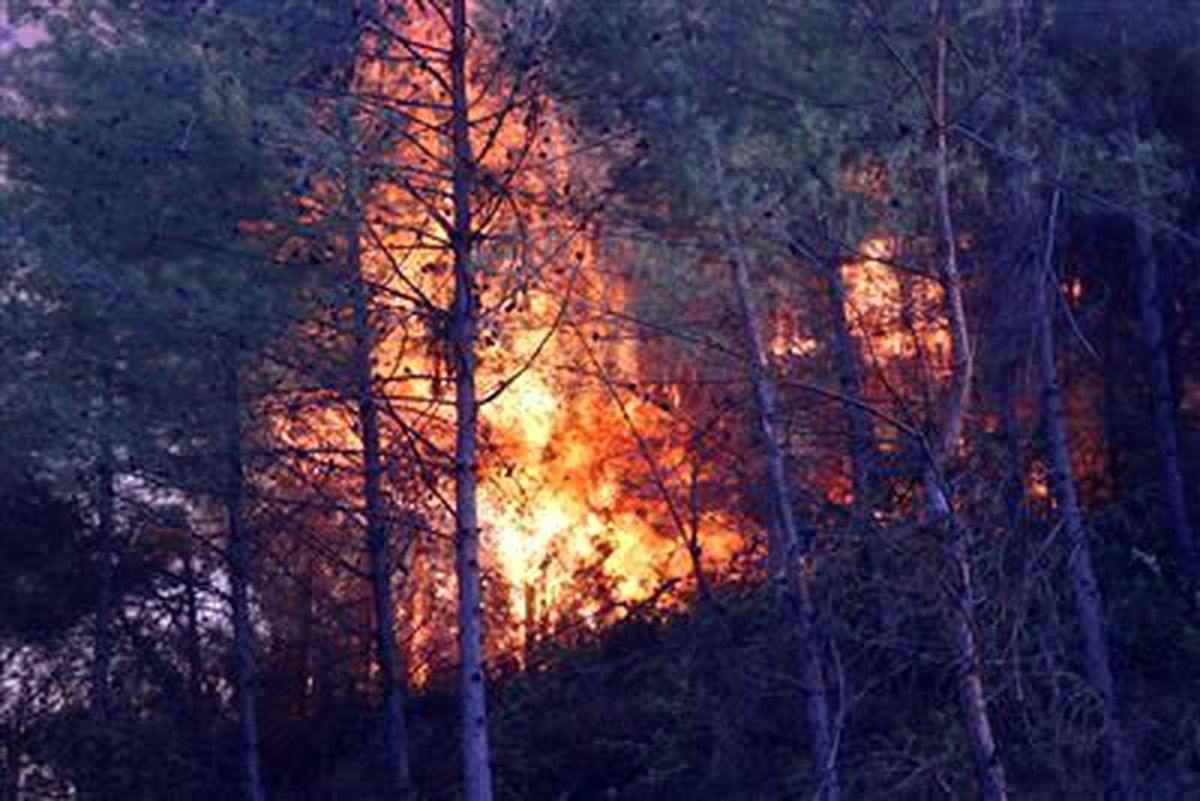 Bosna Hersek'teki Orman Yangınları