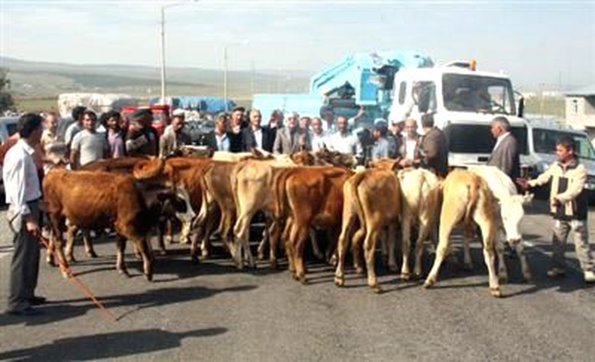 CHP\'li Öğüt Saman Fiyatlarını Protesto Etti