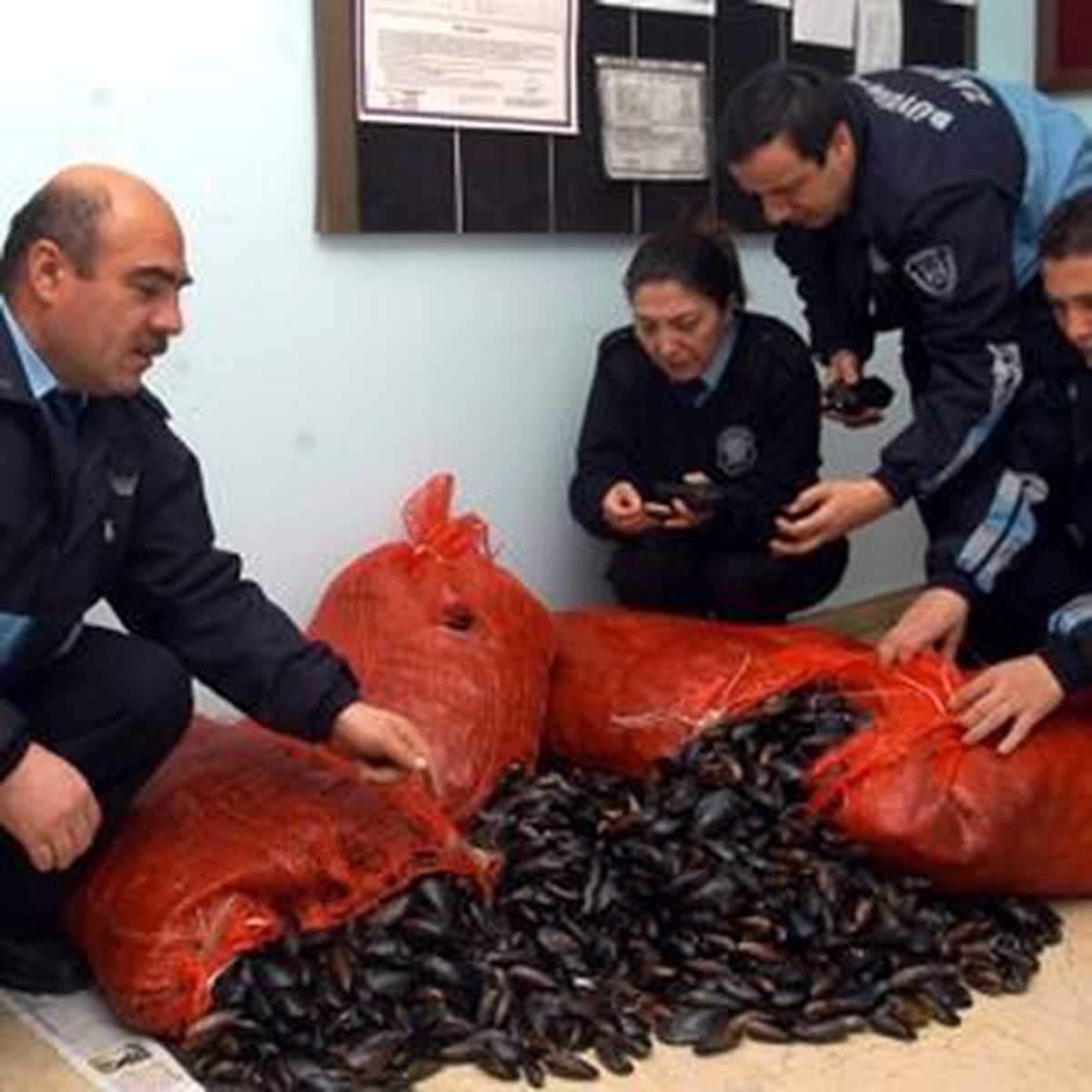 Sahil Güvenlik\'ten Kaçak Midye Avlayanlara Operasyon