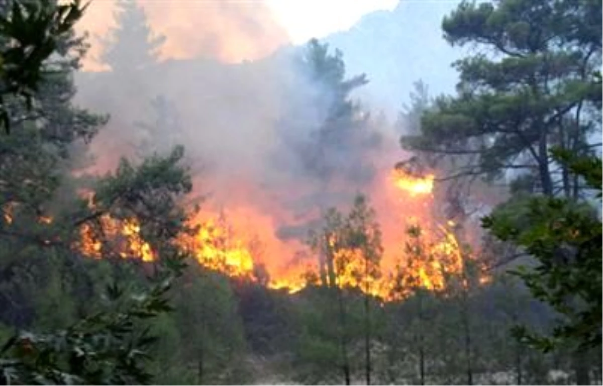 Serik\'te Orman Yangını