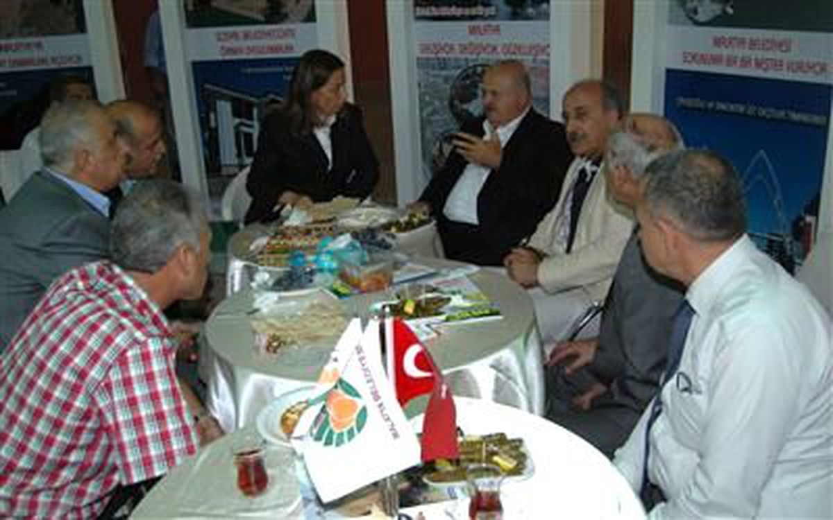 THY Bu Kez Kayısıyı Uçuracak