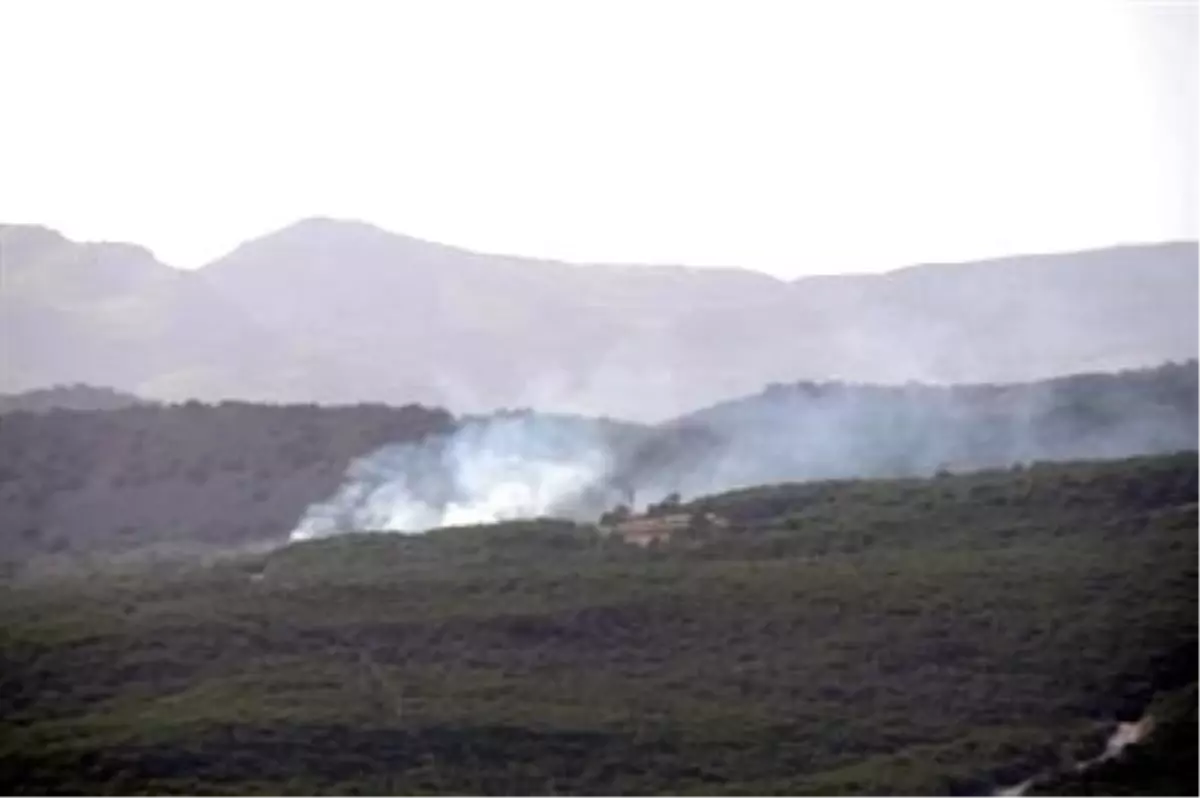 Tunceli\'de Orman Yangınları