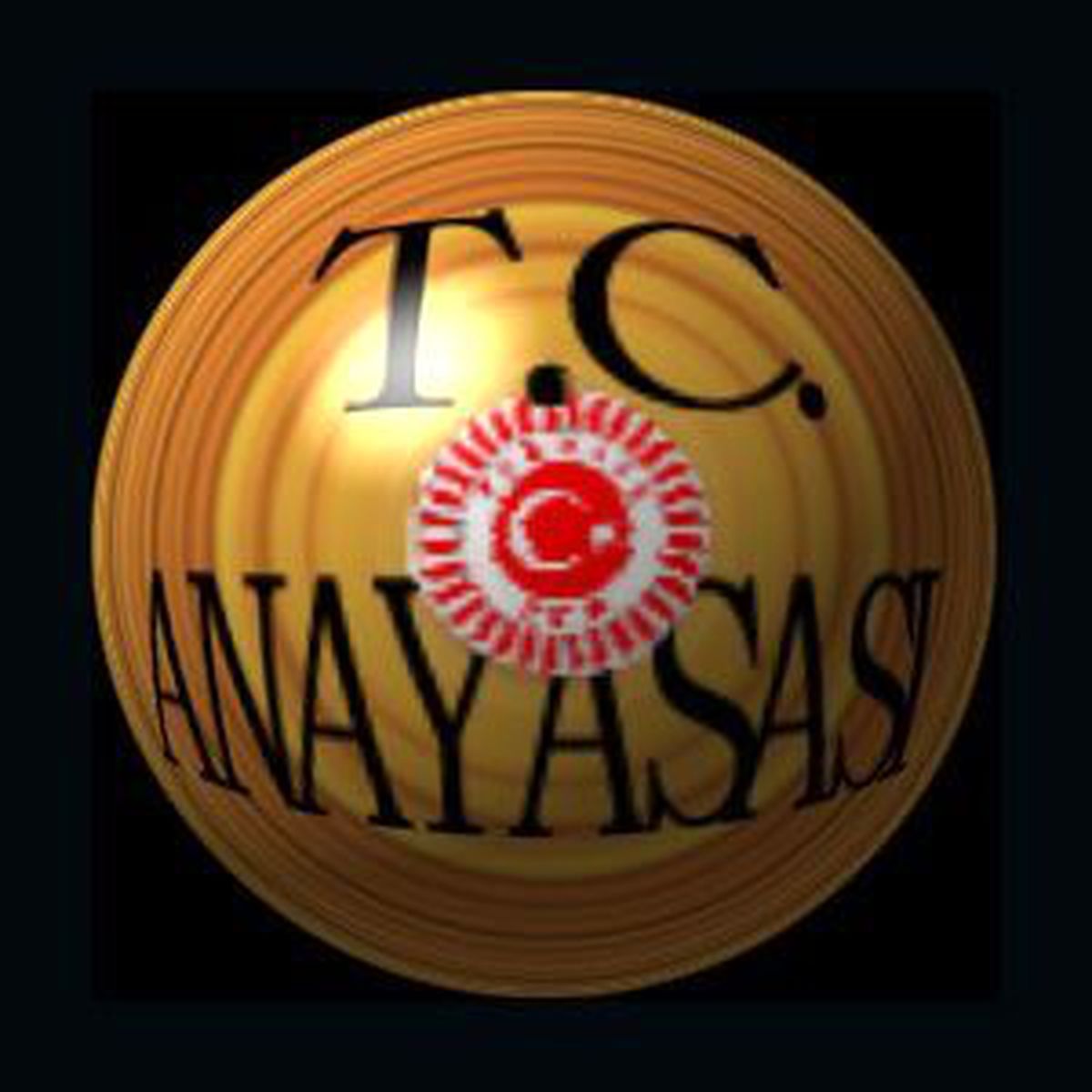 Yeni Anayasa Çalışmaları