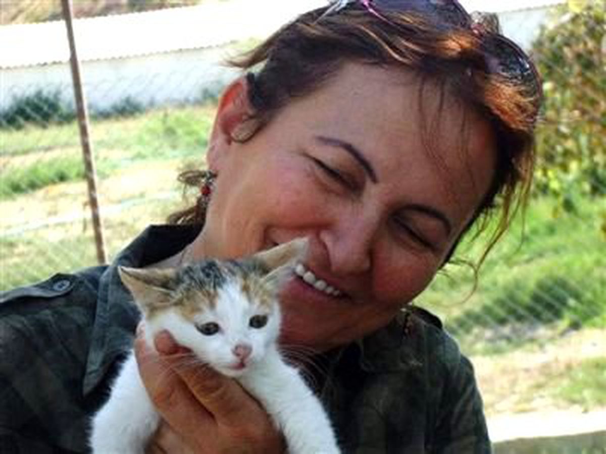 20 Yavru Köpek Sahibini Bekliyor