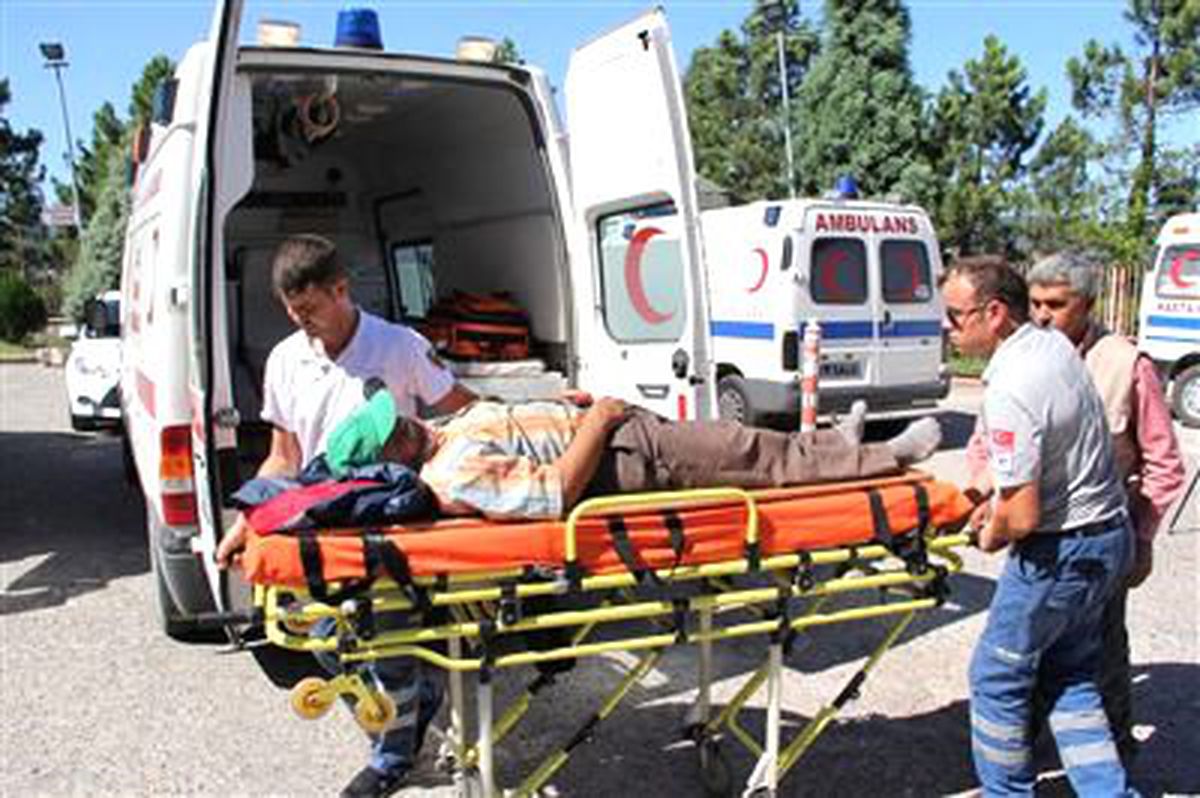 Bindiği Dalı Kesti