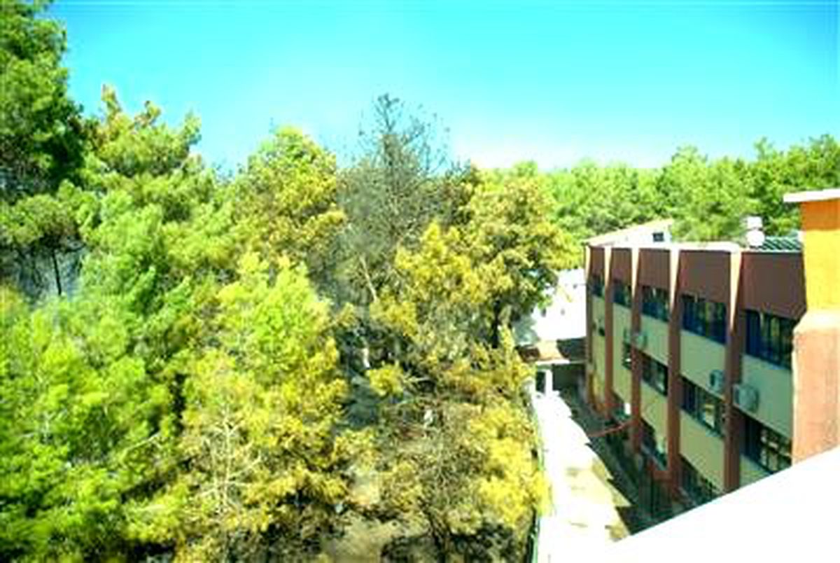 Manavgat\'ta Orman Yangını