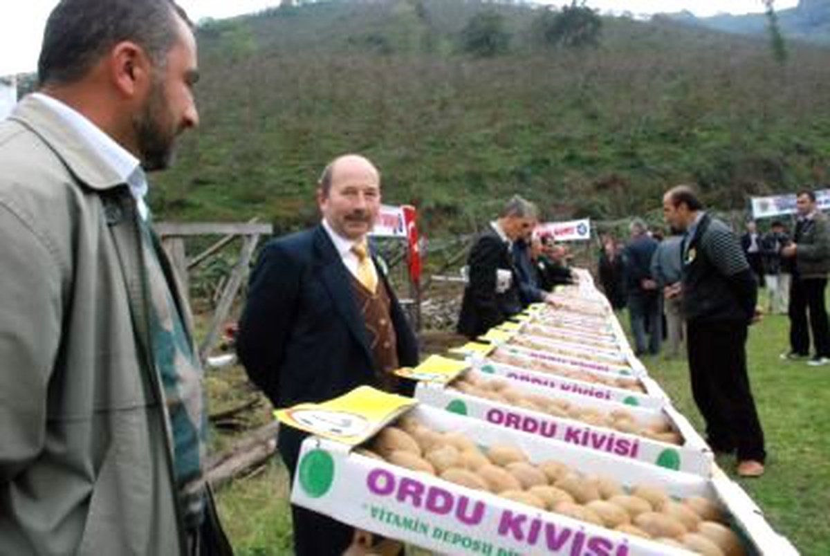 Ordulu Kivi Üreticileri, İran Kivisine Karşı