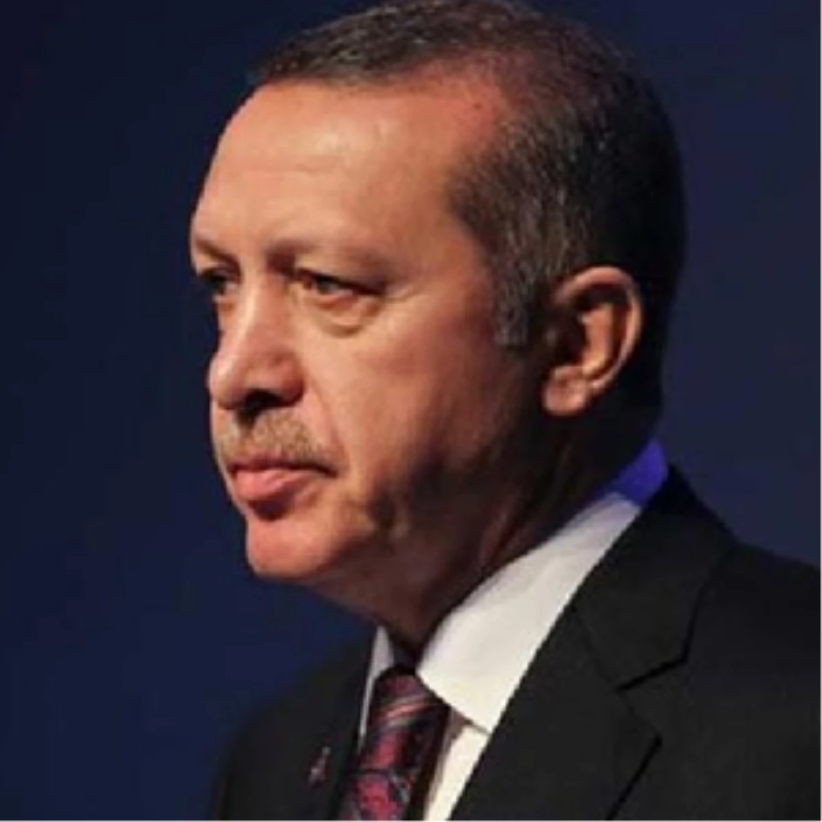 Başbakan Erdoğan, Nikah Şahidi Oldu