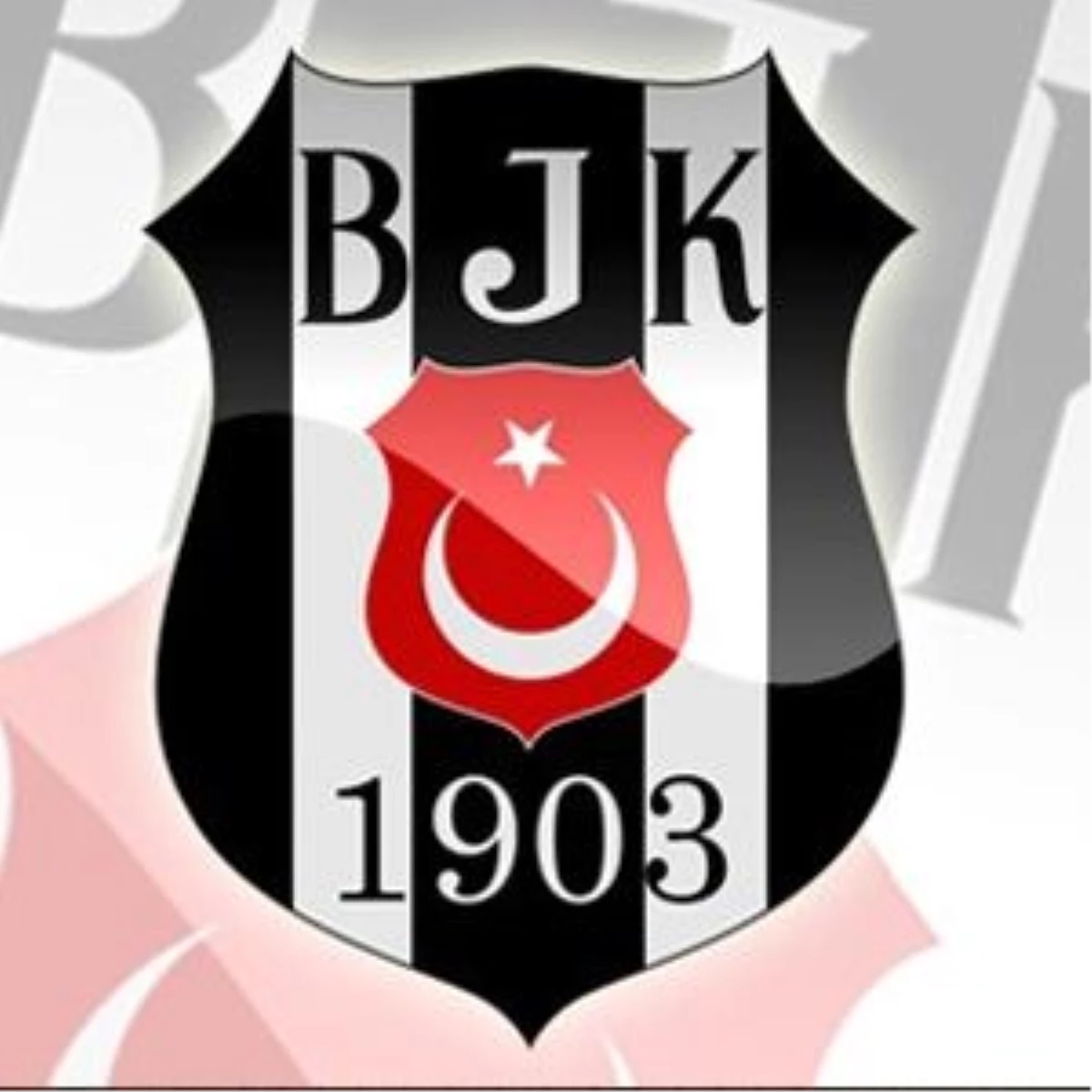 Beşiktaş Kadın Basketbol Takımı, Ligden Çekildi