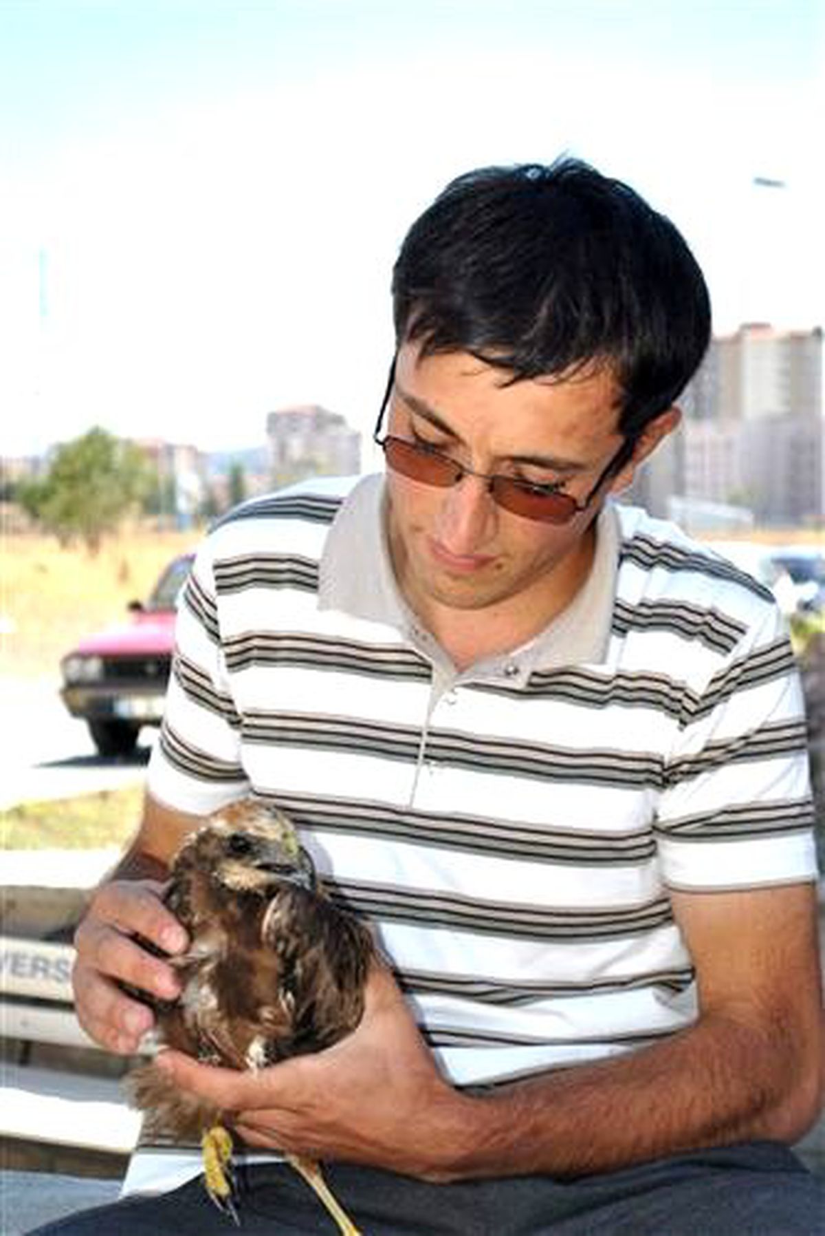 Bulduğu Yaralı Şahine Sahip Çıktı