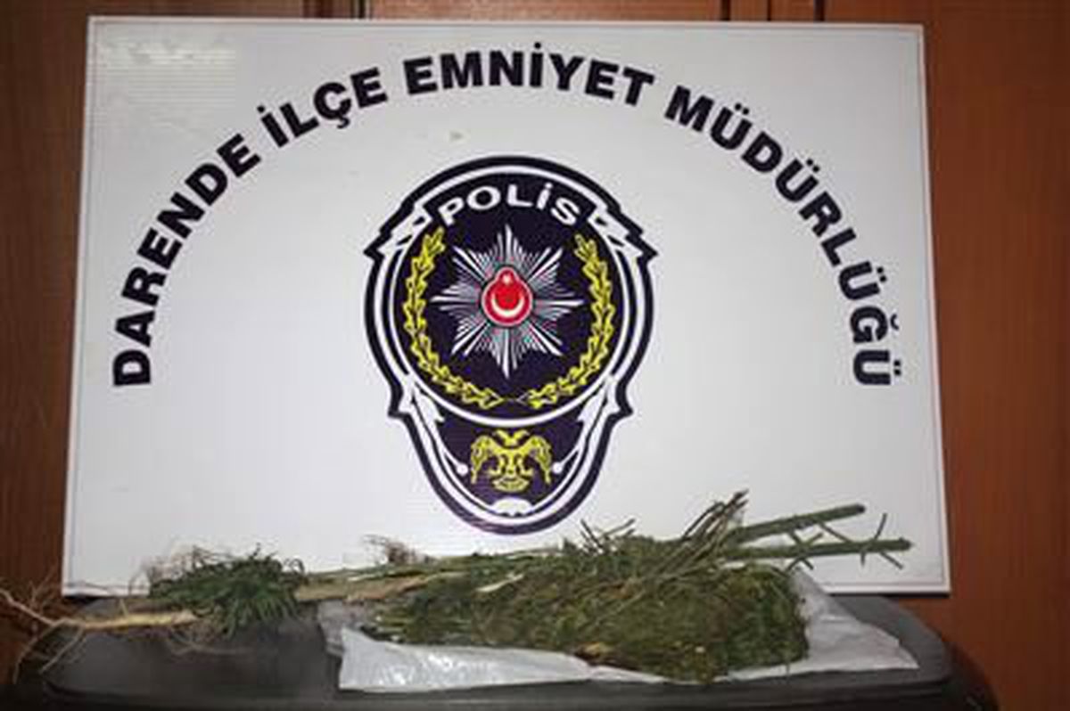 Darende\'de Esrar Ele Geçirildi