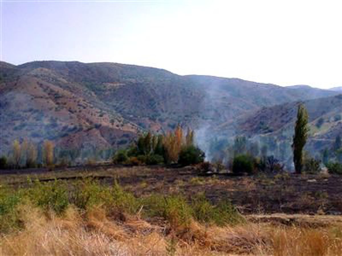 Divriği\'de Orman Yangını