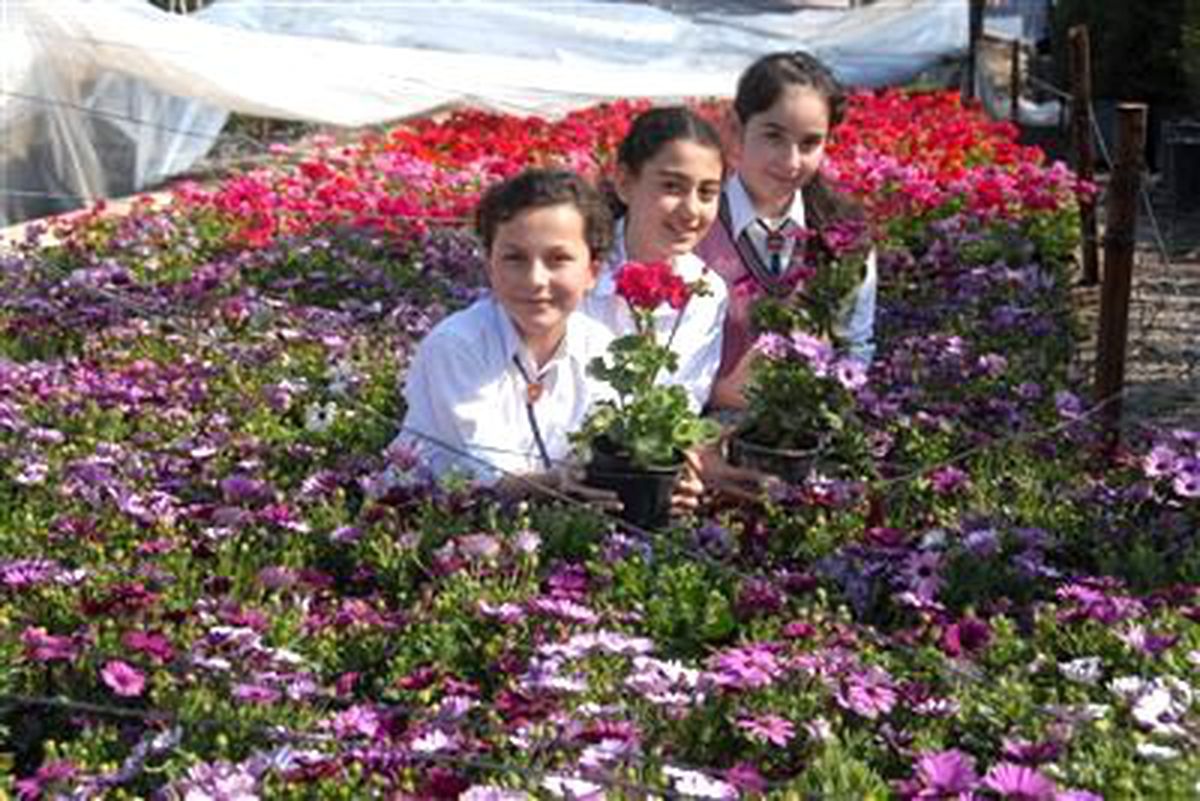 Gaziemir\'de \'Yeşil Seferberliği\'