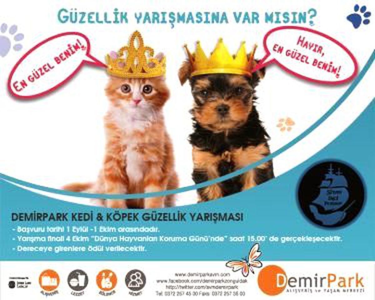 Güzellik Yarışmasına Var mısın? 