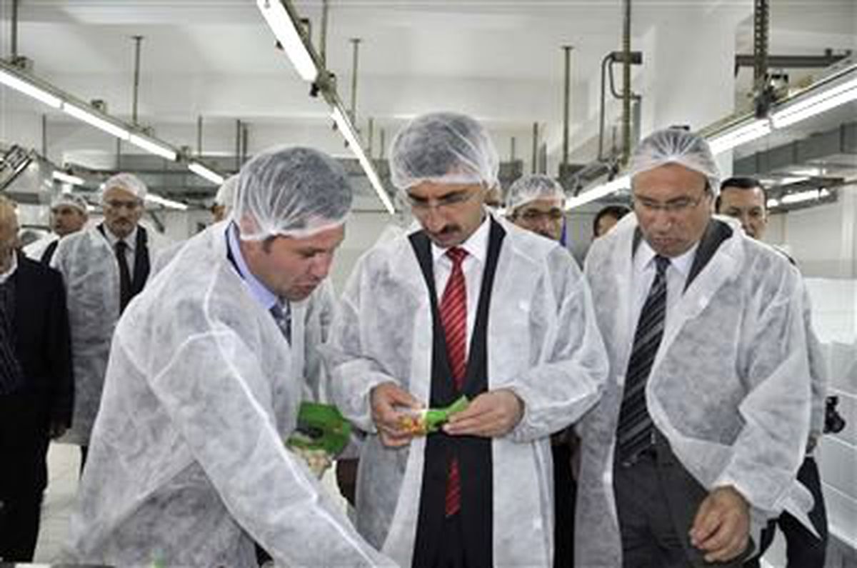 Kastamonu\'da Sarımsak Entegre Tesisi Açıldı