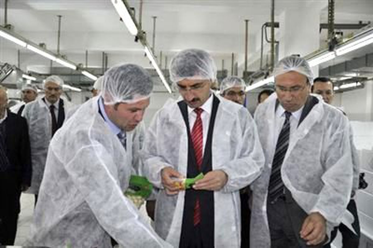 Reis Gıda\'dan Kastamonu\'da Sarımsak Entegre Tesisi