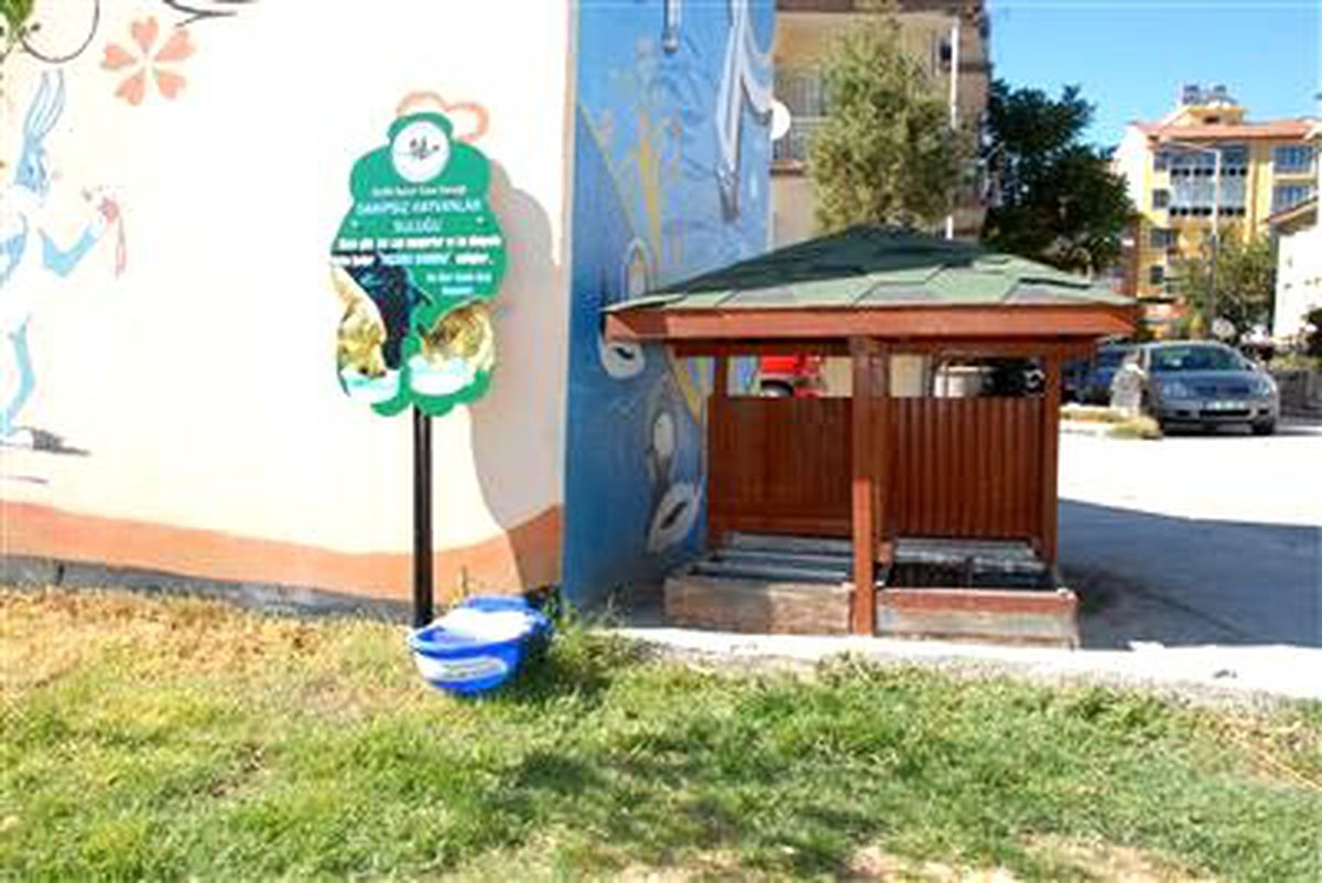 Sokak Hayvanlarını Sevmeyenlere Tabela