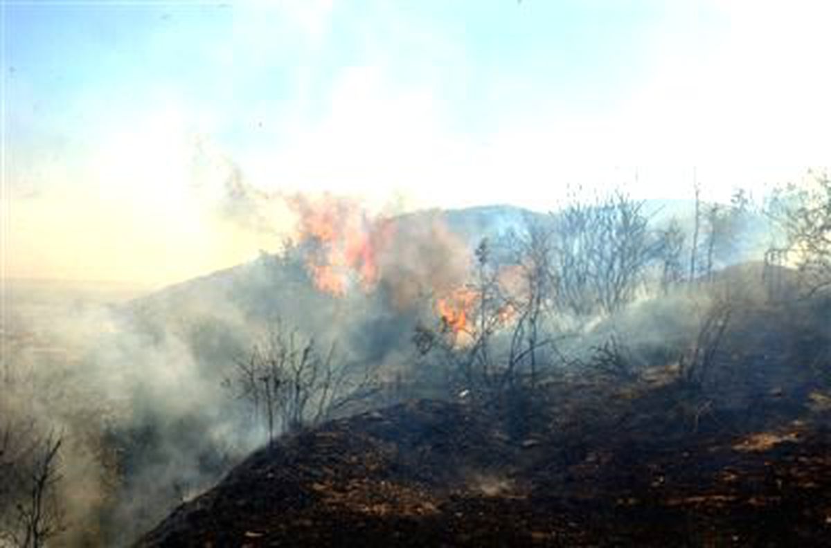 Söke'nin Sarıkemer Beledesindeki Yangında 15 Hektar Alan Kül Oldu