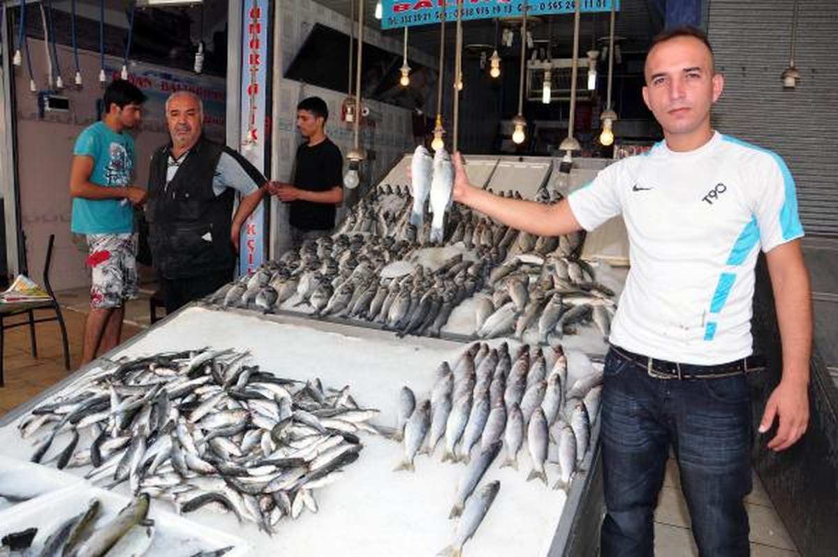 Akdenizli Balıkçılar 15 Eylül\'ü Bekliyor